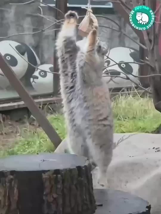 Доброе утро четверга! До выходных рукой подать