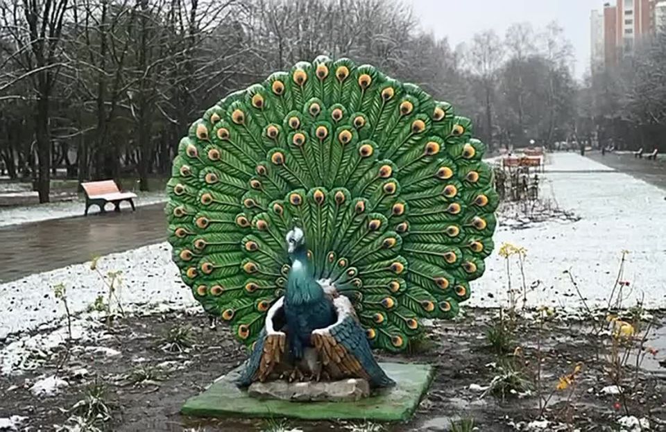 Доброе утро, Серпухов!. Декабрь продолжает играть с нами в прятки: за окном — приятные +3°C