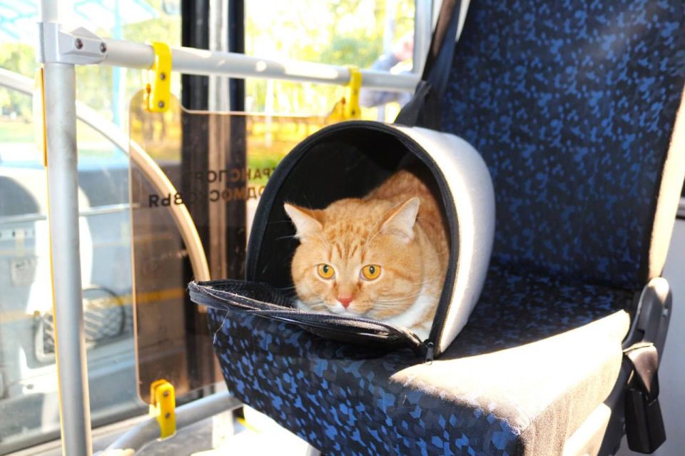 ������������ ������: ������� ��������� �������� � ��������� ������������