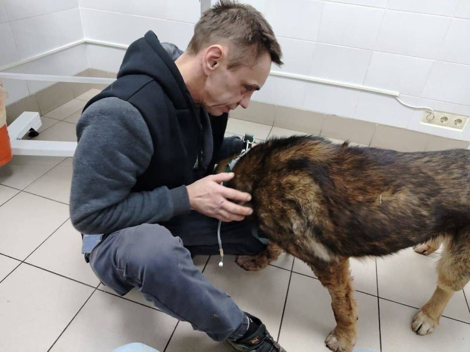 � ������������ ������� ���������� ��������� ���� � �������� ��������� � ��������� ����� �������� ���� �����