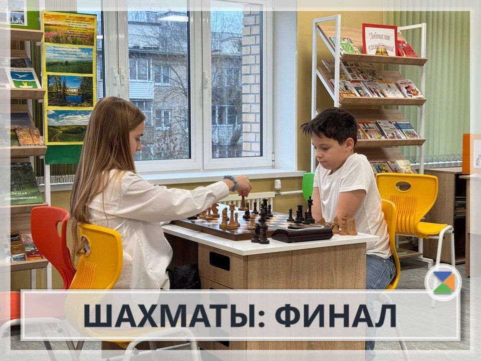 ШАХМАТЫ: ФИНАЛ. В минувшую субботу состоялся финал школьного турнира, который шёл три недели