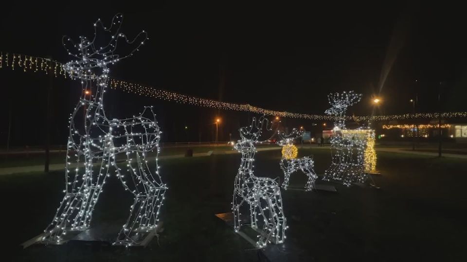 ������ ������������: ���������� � �����: ��������� � ������� ������ ����!