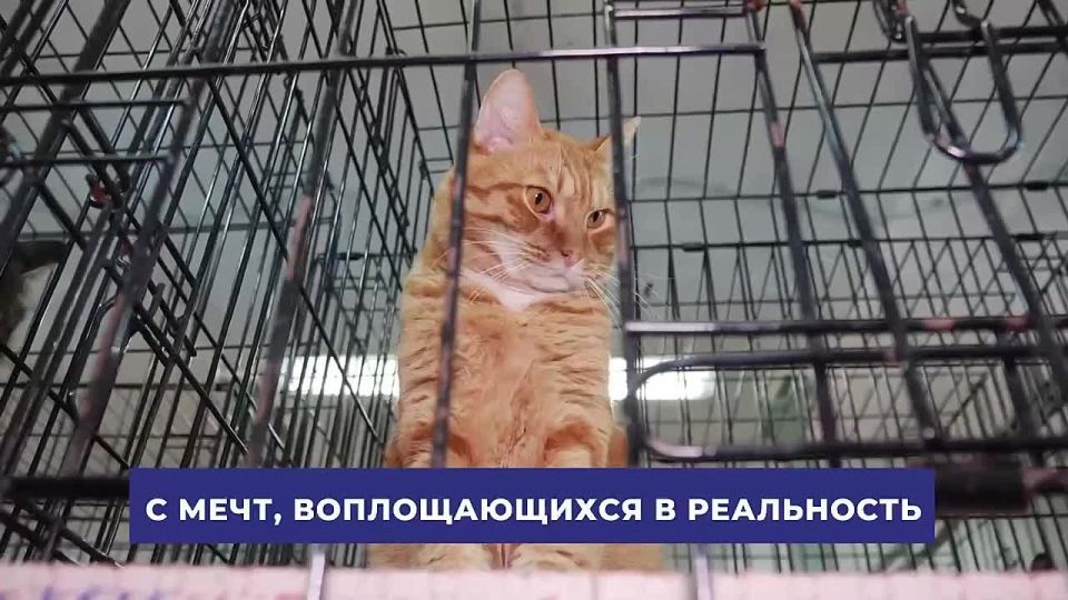 Сергей Юров: День добровольца в России