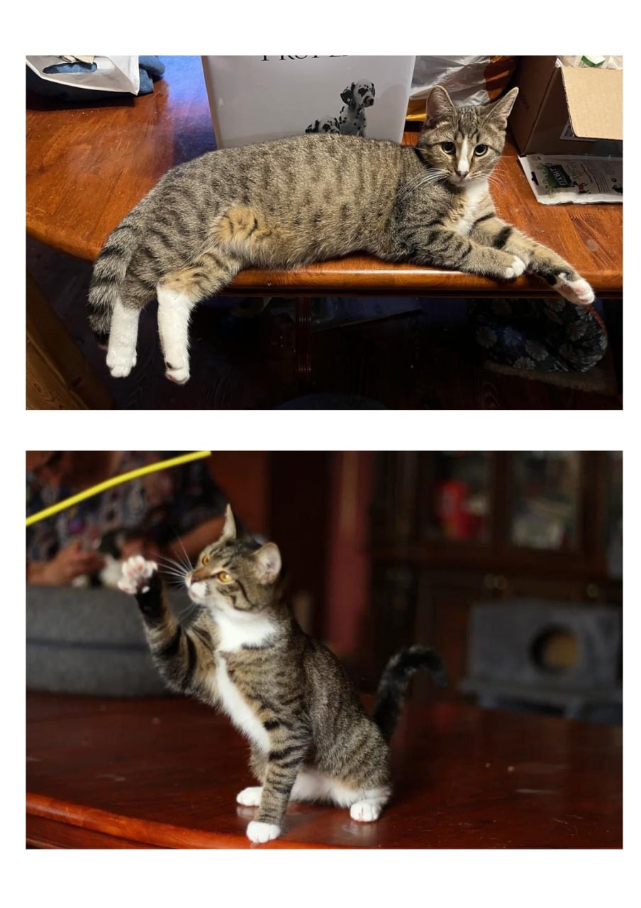 В преддверии благотворительного вечера «Лай, снег и мандарины» хотим поделиться фотографиями тех, ради кого он и будет организован! В преддверии благотворительного вечера «Лай, снег и мандарины» хотим поделиться фотографиями тех, ради кого он и будет организован!