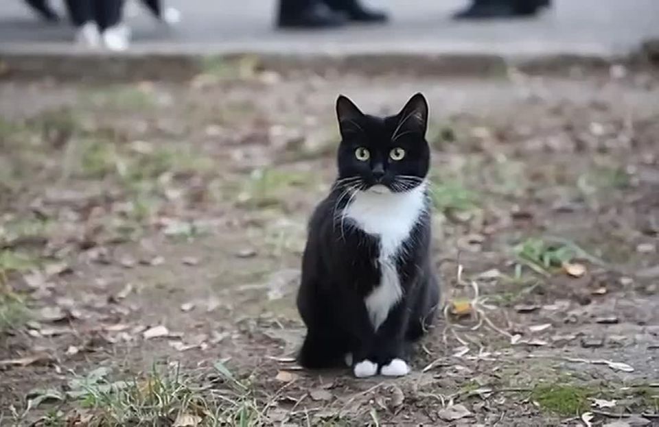 Доброе утро, Серпухов!. Декабрь продолжает удивлять теплом: сегодня снова до +3°C