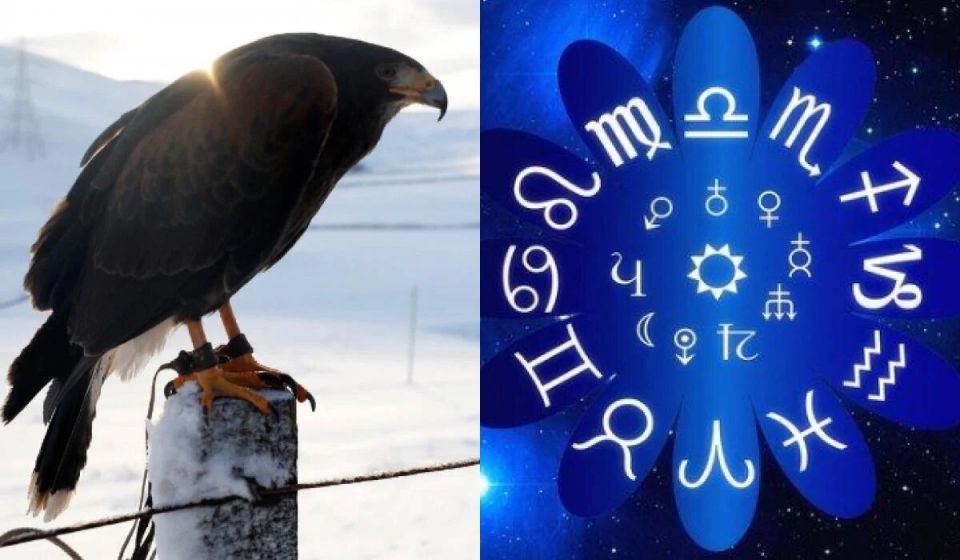 ����� ������� � �� �������� ��������