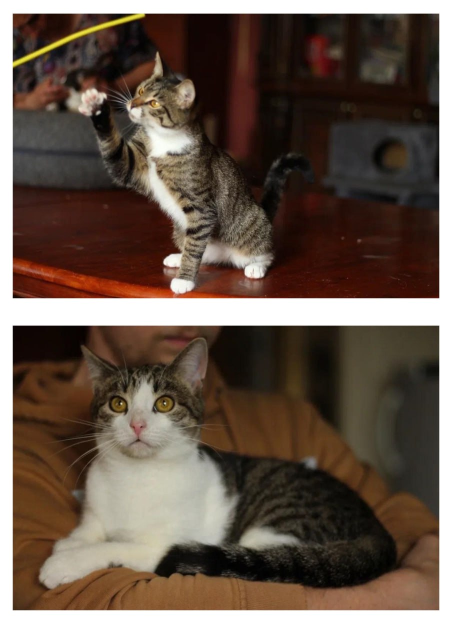 В преддверии благотворительного вечера «Лай, снег и мандарины» хотим поделиться фотографиями тех, ради кого он и будет организован! В преддверии благотворительного вечера «Лай, снег и мандарины» хотим поделиться фотографиями тех, ради кого он и будет организован!