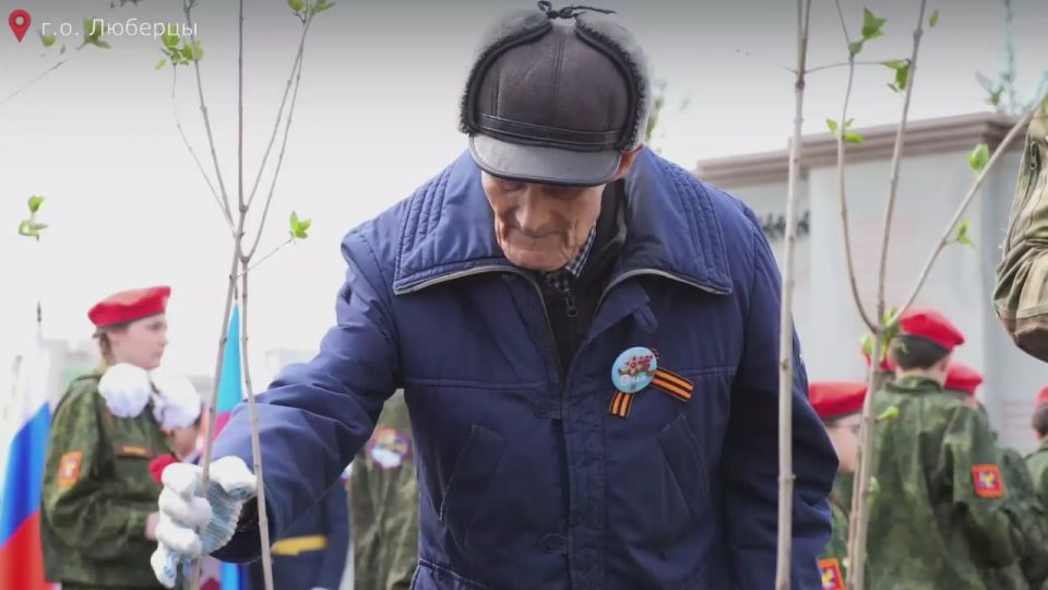 Владимир Волков: Сегодня свой праздник отмечают люди дела с большими сердцами — волонтёры