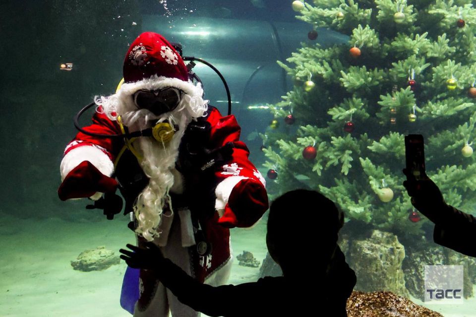 Водолаз в костюме Деда Мороза поздравил гостей «Москвариум» на ВДНХ с наступающими праздниками
