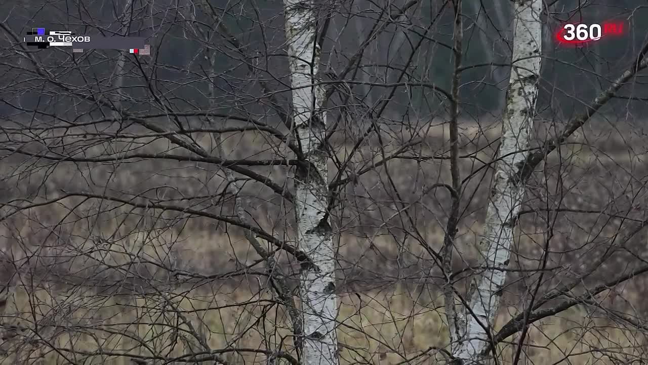 Михаил Собакин: Историческая реконструкция боя за деревню Леоново, посвященная 84-й годовщине битвы за Москву, собрала более 300 участников