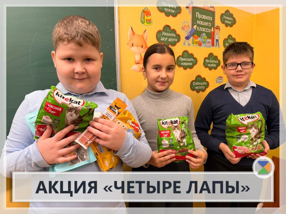 АКЦИЯ "ЧЕТЫРЕ ЛАПЫ". В начальной школе прошла благотворительная акция "Четыре лапы" по сбору кормов для животных! Хочется напомнить о том, что мы в ответе за тех, кого приручили