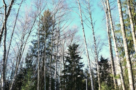 Мчатся самолёты выше облаков