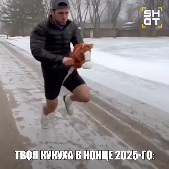 Россияне массово скупают товары для хоббихорсинга к Новому году — SHOT