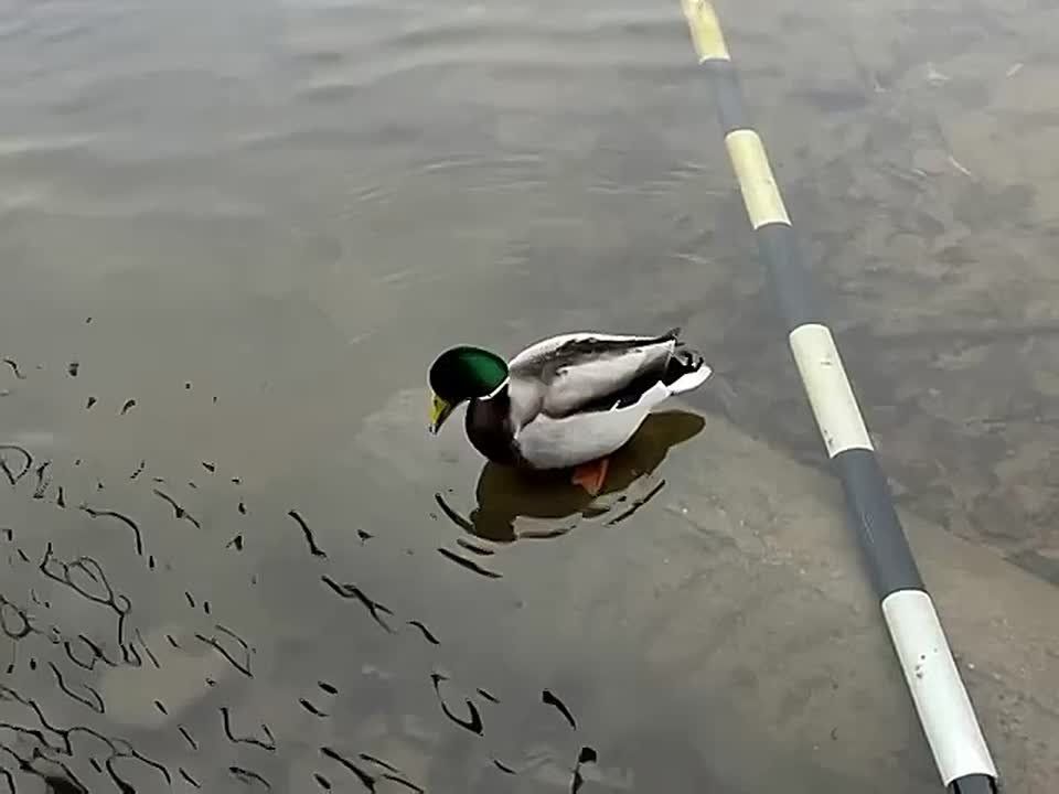 Доброе утро, Серпухов!. Понедельник приносит свежие начала: сегодня температура составит около -1°C