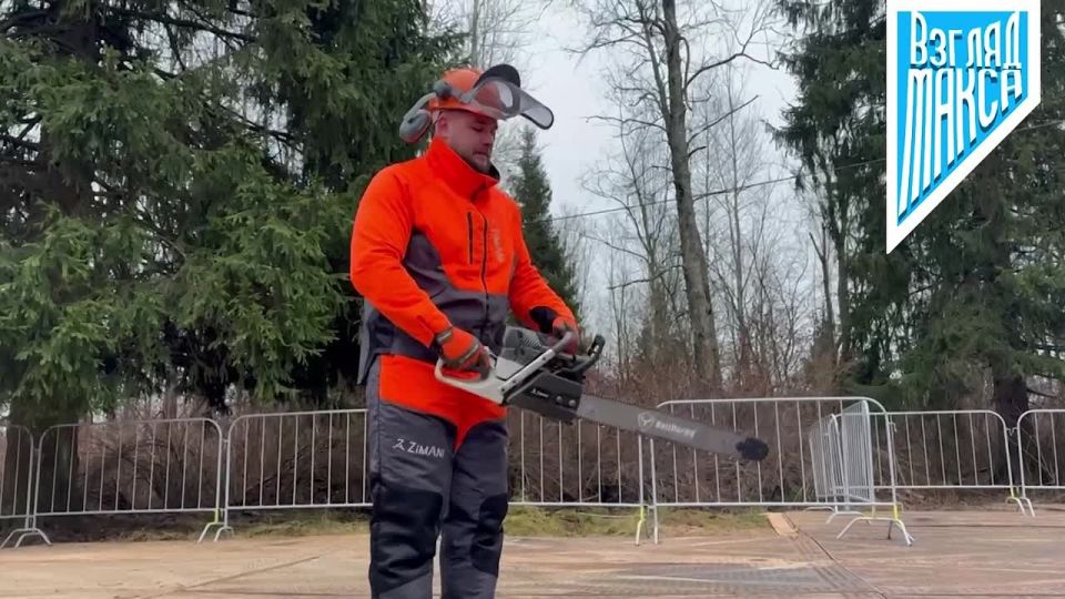 Главная новогодняя ель страны, которую установят на Соборной площади Московского Кремля, уже спилена в Подмосковье и готовится к отправке в столицу