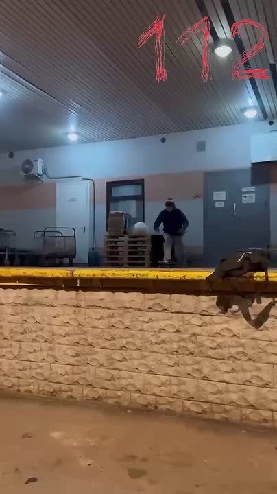 Необычное ДТП произошло между скейтером и курьером на электровелосипеде в Московской области