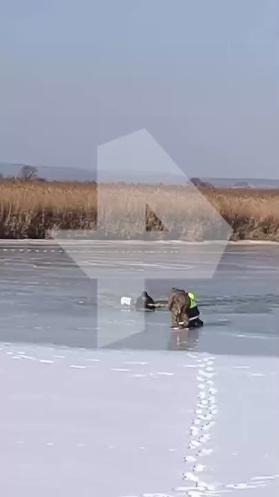 Мужчина провалился под лёд на квадроцикле в Приморском крае
