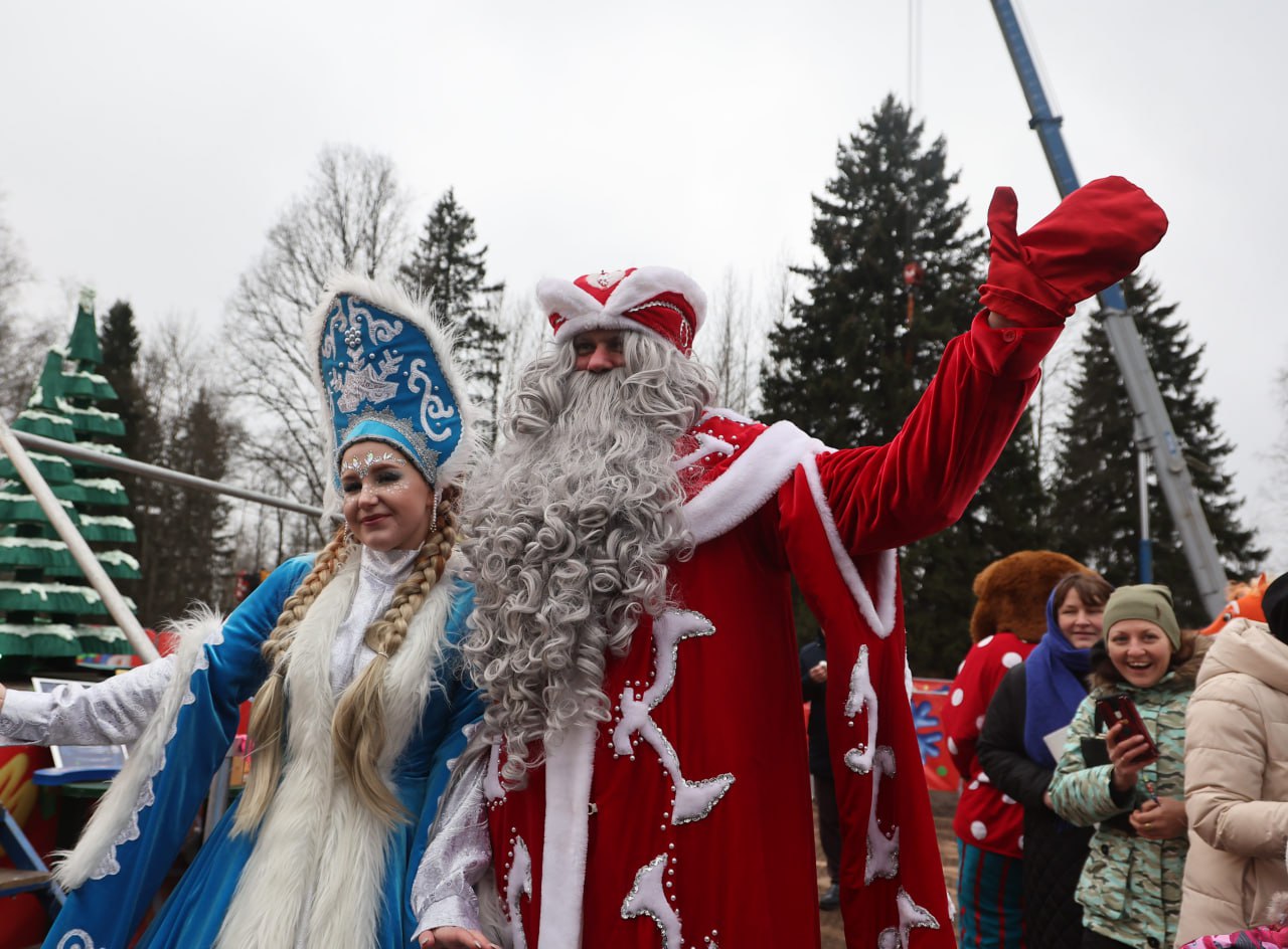 Главную новогоднюю ель страны спилили в Рузском округе Главную новогоднюю ель страны спилили в Рузском округе