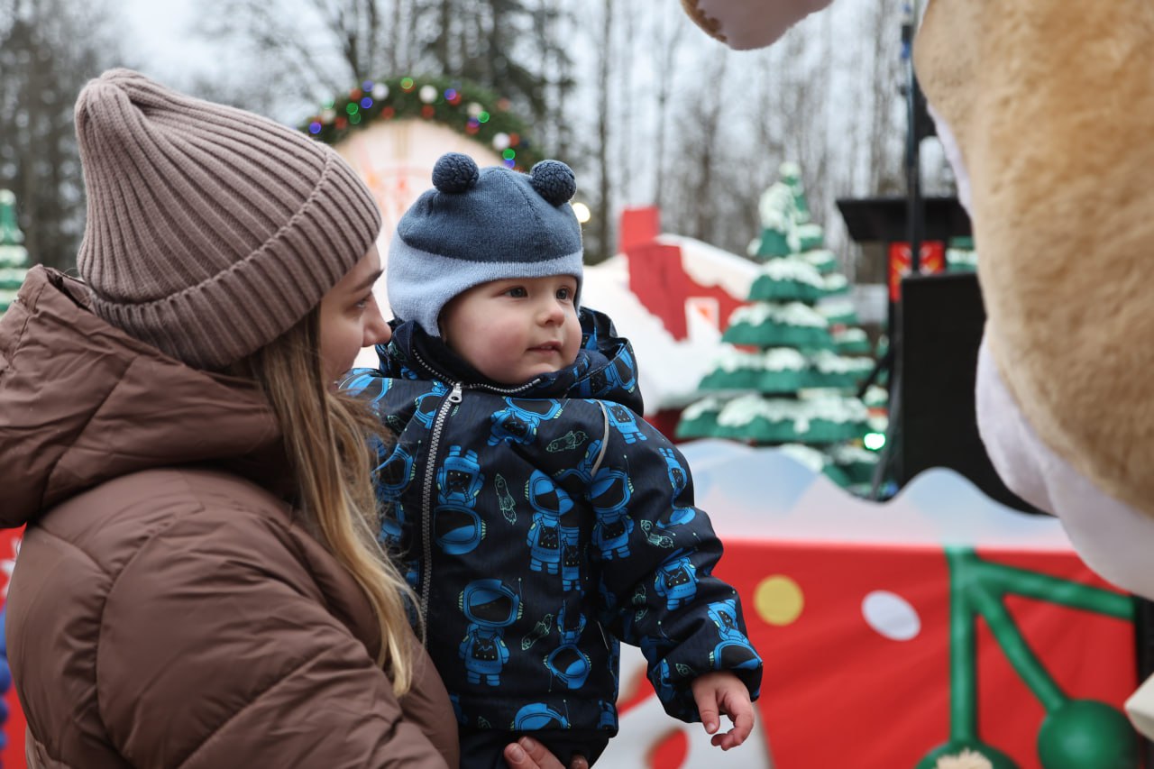 Главную новогоднюю ель страны спилили в Рузском округе Главную новогоднюю ель страны спилили в Рузском округе