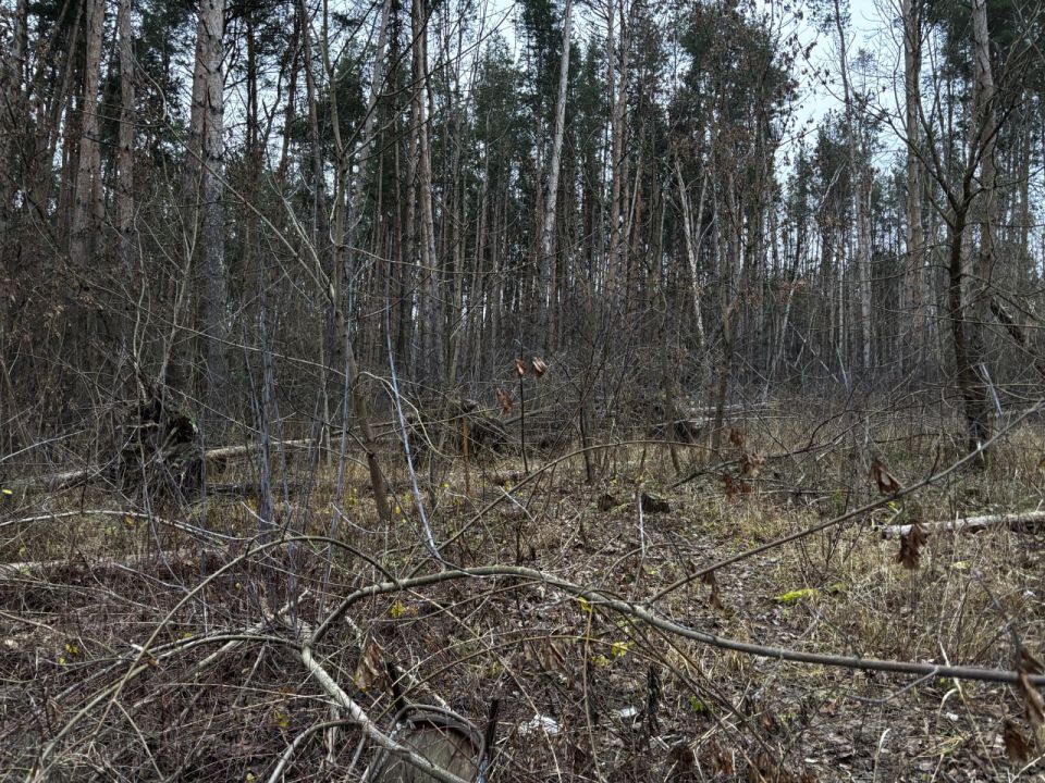 � ������������ �������� ���������� ����� � ���������� �� ����� �������