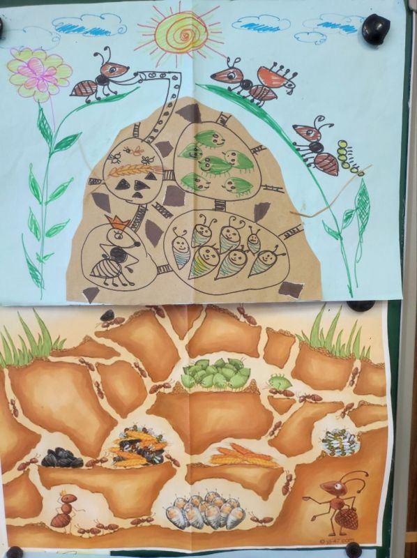 Дошкольники из группы "Акварелька", педагог Миночкина Наталья Константиновна, узнали сегодня много интересного про муравейник