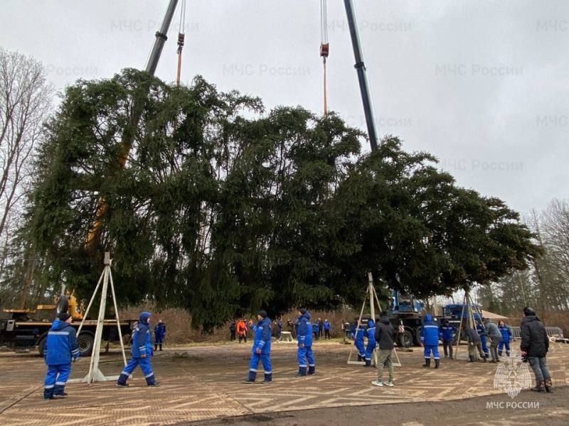 Сотрудники МЧС обеспечили безопасность при спиливании главной новогодней елки России