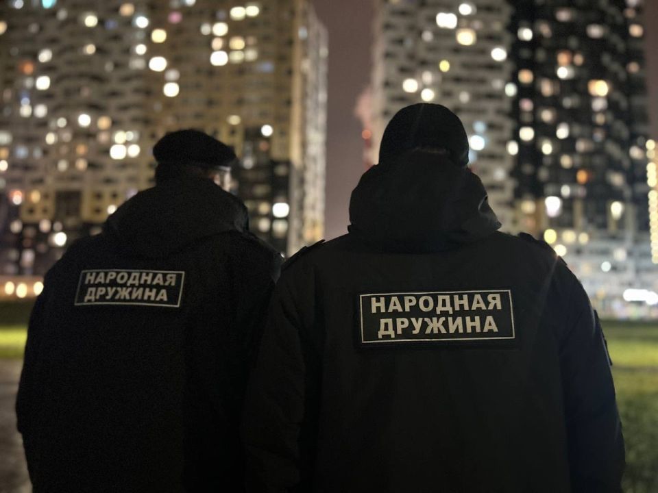 Народная дружина Домодедово: кто они и почему их работа так важна?