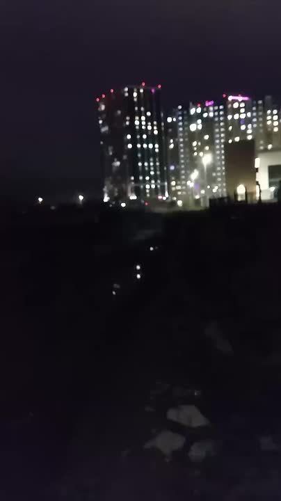 Подмосковная полиция ищет устроителей праздничного фейерверка, который напугал жителей Солнечногорска