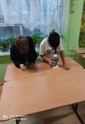 Неделя функциональной грамотности Неделя функциональной грамотности