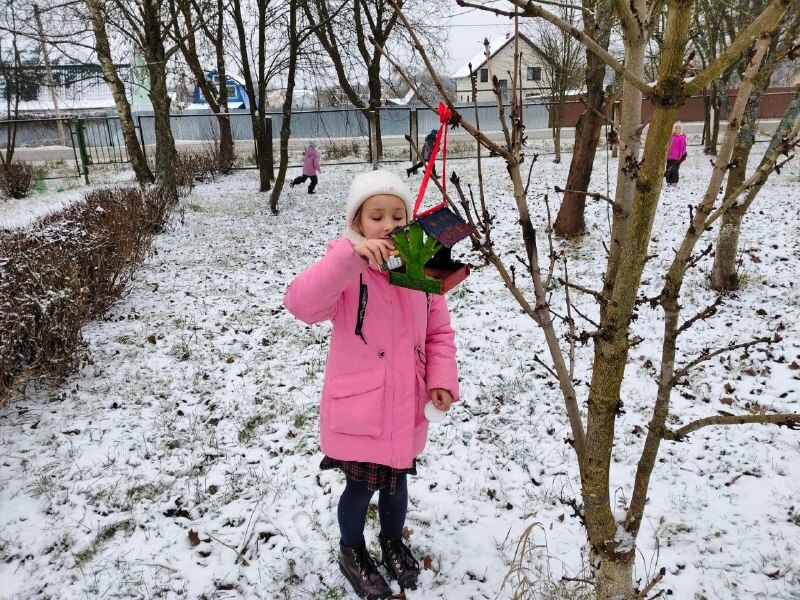 Сегодня в снежный зимний денек, Орлята России и Юннаты Первых МБОУ СОШ № 9 развесили кормушки и разместили их в пришкольном парке в местах частого пребывания воробьёв, синиц, снегирей и других птиц Сегодня в снежный зимний денек, Орлята России и Юннаты Первых МБОУ СОШ № 9 развесили кормушки и разместили их в пришкольном парке в местах частого пребывания воробьёв, синиц, снегирей и других птиц