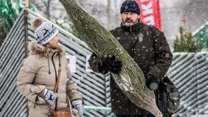Ёлки в электричках Подмосковья теперь можно провозить бесплатно, сообщает Центральная пригородная пассажирская компания (ЦППК)