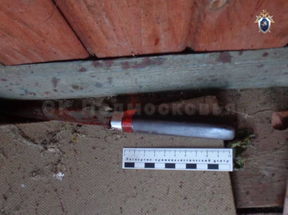 В Можайске арестован мужчина, обвиняемый в убийстве своего отца