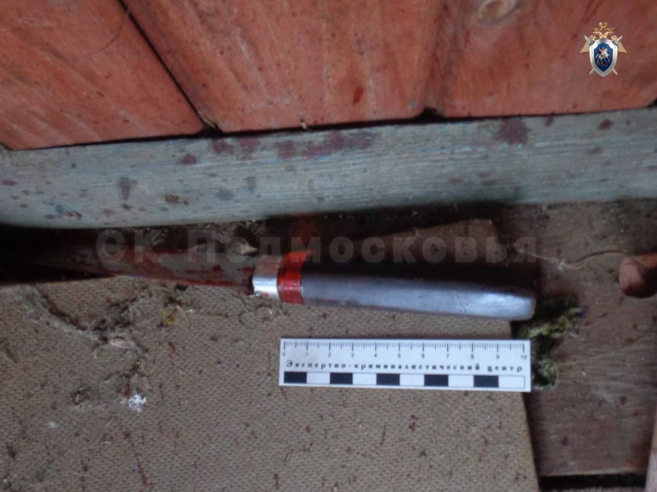 В Можайске арестован мужчина, обвиняемый в убийстве своего отца