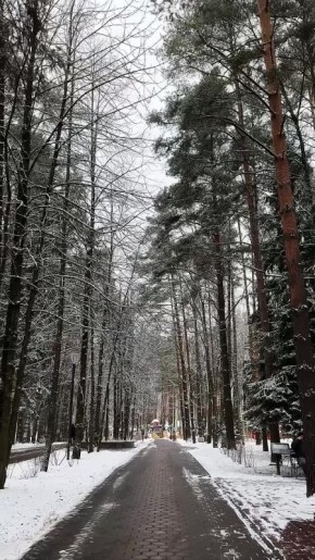 Вот такая снежная красота сегодня в парке «Ёлочки»