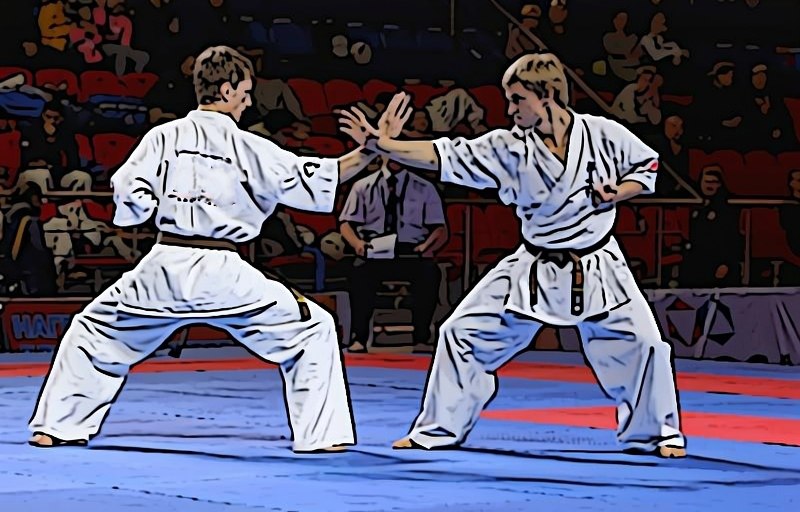 Долголеты Чехова начнут заниматься Каратэ Киокусинкай