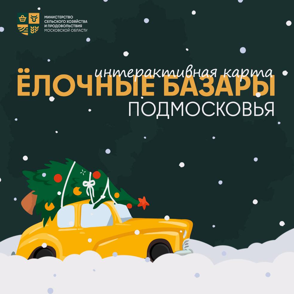 Где найти ели, пихты, сосны и новогоднее настроение?