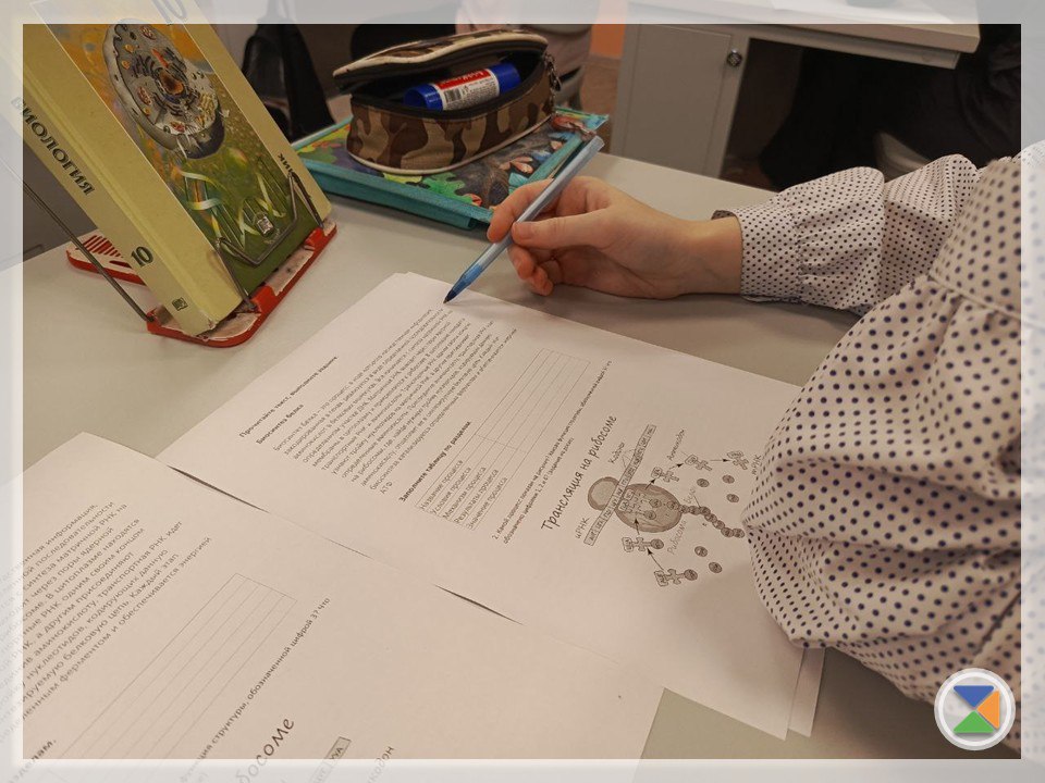 МИР МОЛЕКУЛЯРНОЙ БИОЛОГИИ. Неделя функциональной грамотности 10в профильном (медицинском) классе проходит насыщенно и познавательно МИР МОЛЕКУЛЯРНОЙ БИОЛОГИИ. Неделя функциональной грамотности 10в профильном (медицинском) классе проходит насыщенно и познавательно