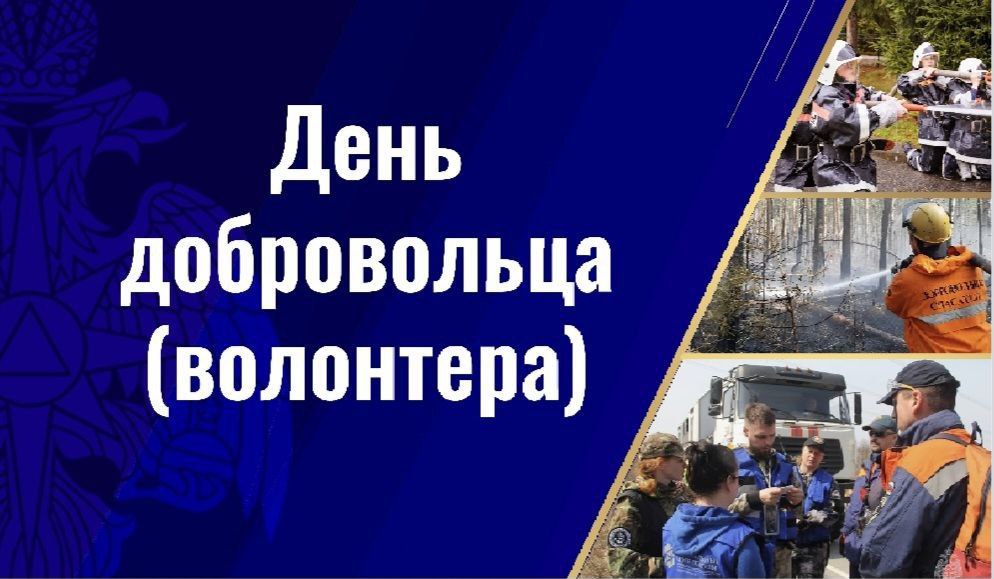 Во ВНИИПО МЧС России пройдет торжественное мероприятие «День добровольца (волонтёра) в системе МЧС России»