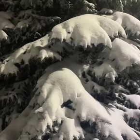 Доброе утро, Серпухов!. Четверг уже на пороге, и это значит, что мы приближаемся к финалу недели: сегодня температура ожидается около 0 °C. Несмотря на прохладную погоду, этот день - прекрасная возможность оценить свои...