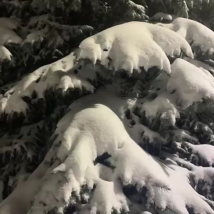 Доброе утро, Серпухов!. Четверг уже на пороге, и это значит, что мы приближаемся к финалу недели: сегодня температура ожидается около 0 °C. Несмотря на прохладную погоду, этот день - прекрасная возможность оценить свои...