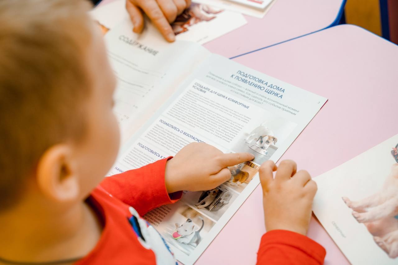 Пушистый доктор. В рамках проекта «КРИА» специалисты социального центра «Орехово-Зуевский» активно внедряют в процесс реабилитации детей метод канистерапии – с ребятами занимаются опытные пушистые ассистенты Пушистый доктор. В рамках проекта «КРИА» специалисты социального центра «Орехово-Зуевский» активно внедряют в процесс реабилитации детей метод канистерапии – с ребятами занимаются опытные пушистые ассистенты