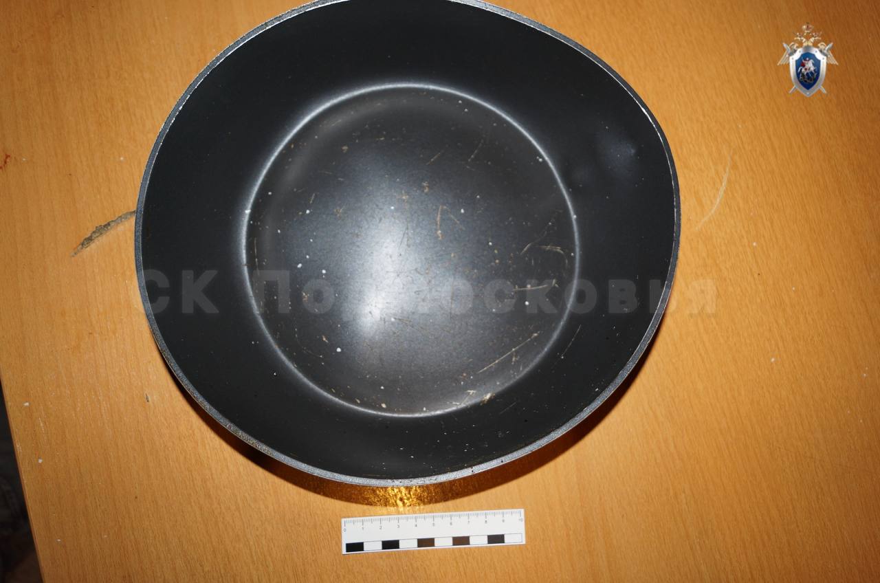 В Коломне местной жительнице предъявлено обвинение в убийстве знакомого