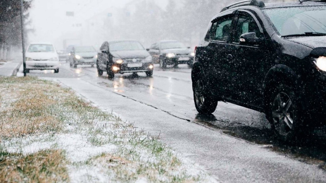 Погодные качели: в Долгопрудном осенний дождь перейдёт в морозную зиму