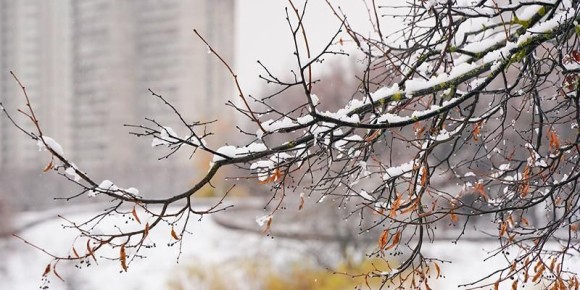 В связи с прохождением холодного фронта волнами на территории Московской области 12 декабря прогнозируются неблагоприятные погодные явления