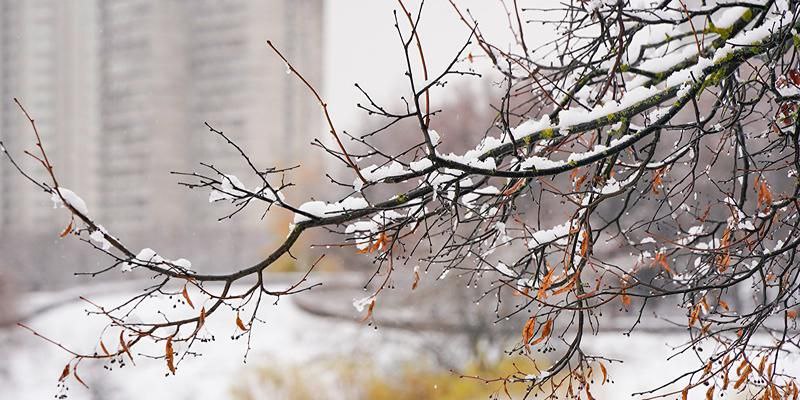 В связи с прохождением холодного фронта волнами на территории Московской области 12 декабря прогнозируются неблагоприятные погодные явления
