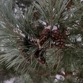 Доброе утро, Серпухов!. Пятница — день завершений и новых надежд: сегодня температура составит около 0 °C. Хотя на улице прохладно, это отличное время, чтобы подвести итоги и подготовиться к заслуженному отдыху