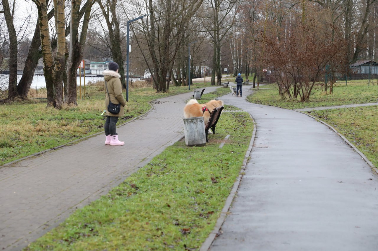 Сегодня в составе рабочей группы провели детальный обход территории парка Мысово Сегодня в составе рабочей группы провели детальный обход территории парка Мысово