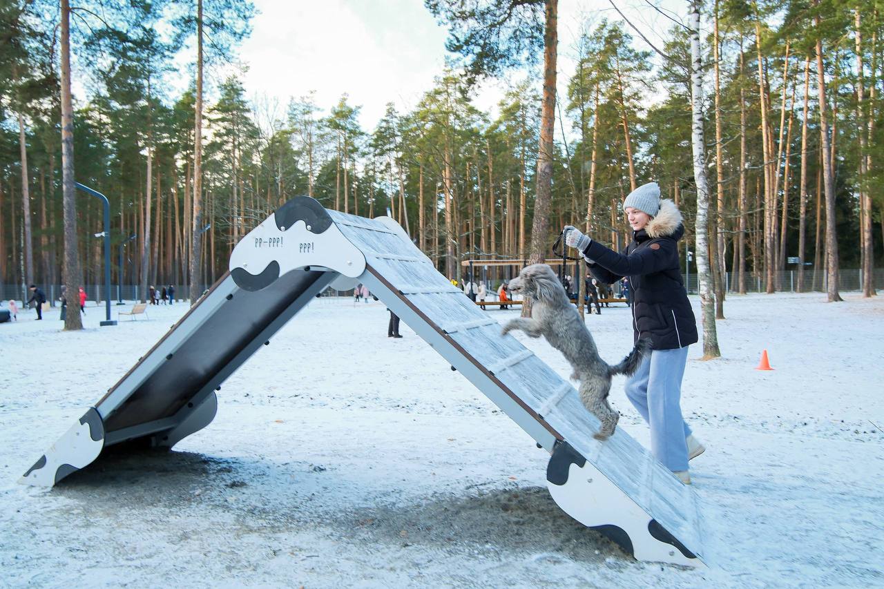 В Орехово-Зуеве почти на полгода раньше срока открыт наш первый благоустроенный лесопарк, который теперь носит имя "Стрелки"! В Орехово-Зуеве почти на полгода раньше срока открыт наш первый благоустроенный лесопарк, который теперь носит имя "Стрелки"!