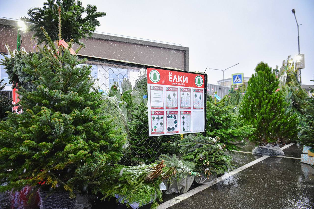 Где в Химках открылись ёлочные базары Где в Химках открылись ёлочные базары