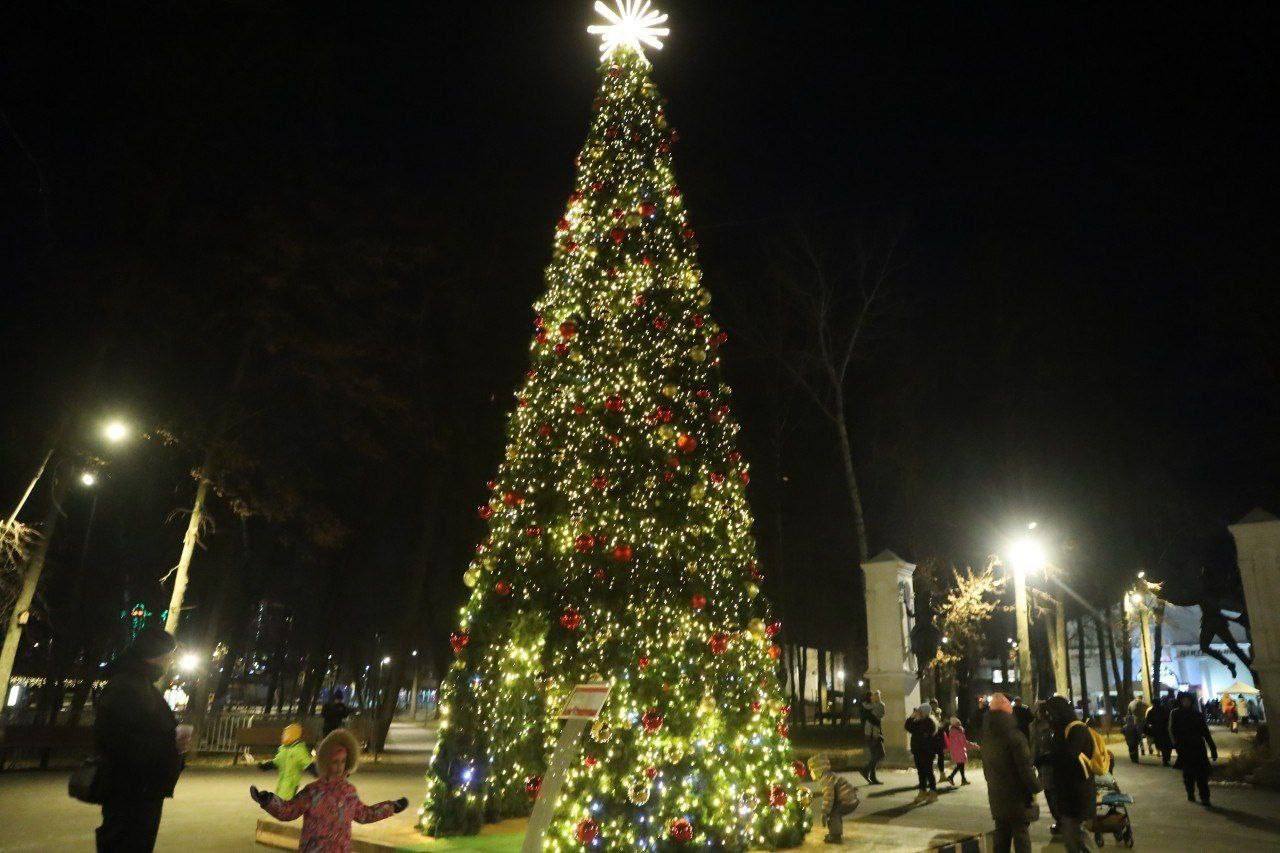 Тысячи огней вспыхнули на главных ёлках нашего города Тысячи огней вспыхнули на главных ёлках нашего города